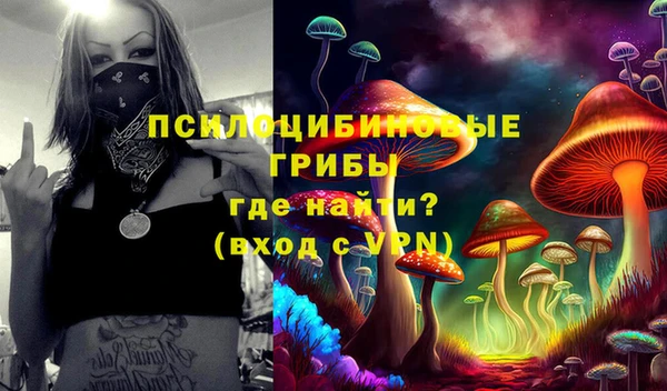 ECSTASY Пересвет