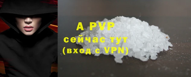 стафф Алексин