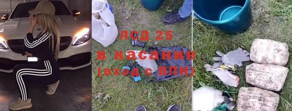 стафф Алексин