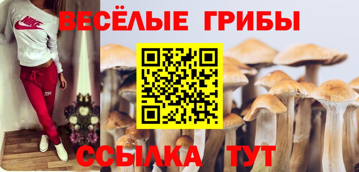 цены   Вход с VPN  Псилоцибиновые грибы прущие грибы  Саки  Псилоцибиновые грибы мухоморы 